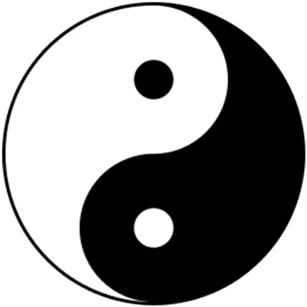 We offer Holistic and Chiropractic services, Yin Yang, Holistic